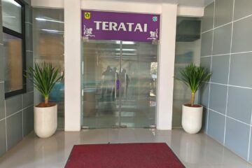 Sewa Tanaman Di Jakarta